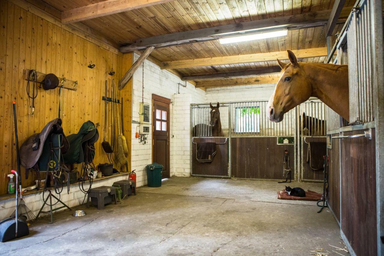 Davidshof, Bed & Breakfast Schneverdingen Exterior foto